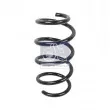Ressort de suspension DT 12.60077 - Visuel 1