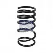Ressort de suspension DT 13.17106 - Visuel 1