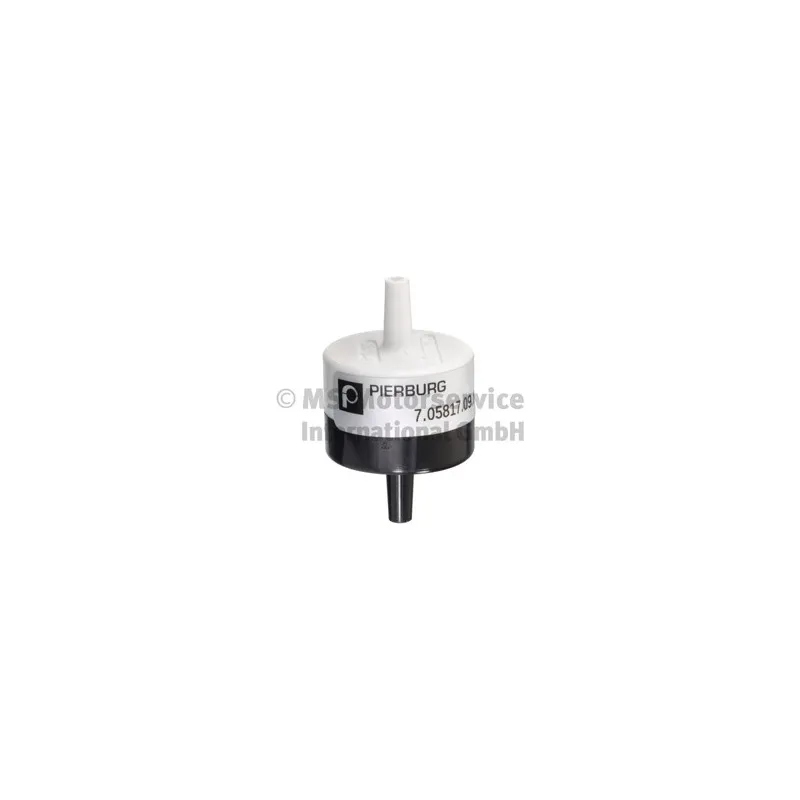 Soupape, insufflation d'air secondaire PIERBURG 7.05817.09.0