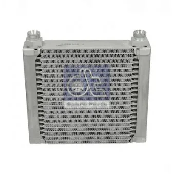 Radiateur d'huile DT 6.30501