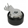 Poulie-tendeur, courroie crantée ENGI TENSIONER XM702 - Visuel 2