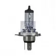 Ampoule, projecteur principal DT 9.78104 - Visuel 2