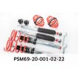 Jeu de suspensions, ressorts/amortisseurs EIBACH PSM69-20-001-02-22 - Visuel 2