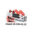 Jeu de suspensions, ressorts/amortisseurs EIBACH PSM69-20-030-02-22 - Visuel 3