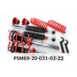 Jeu de suspensions, ressorts/amortisseurs EIBACH PSM69-20-031-02-22 - Visuel 3