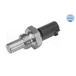 Sonde de température, liquide de refroidissement MEYLE 014 810 0006 - Visuel 1