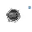 Sonde de température, liquide de refroidissement MEYLE 014 810 0006 - Visuel 2