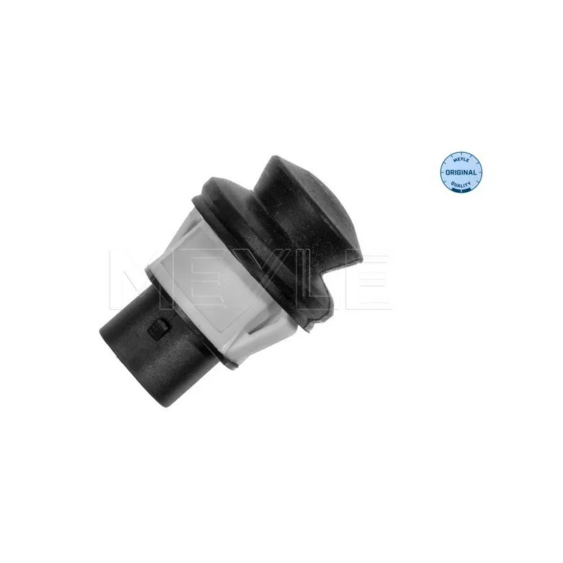 Interrupteur, contacteur de porte MEYLE 100 947 0001