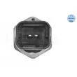 Capteur, température de carburant MEYLE 11-14 821 0013 - Visuel 2