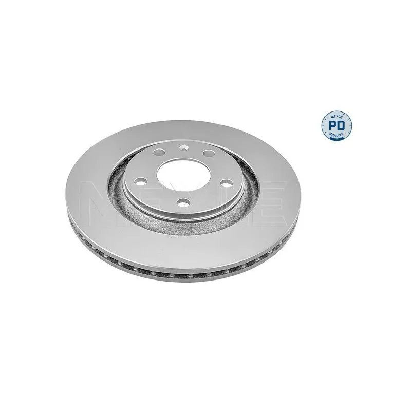 Jeu de 2 disques de frein arrière MEYLE 115 523 0032/PD
