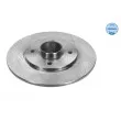 Jeu de 2 disques de frein arrière MEYLE 16-15 523 0005 - Visuel 1