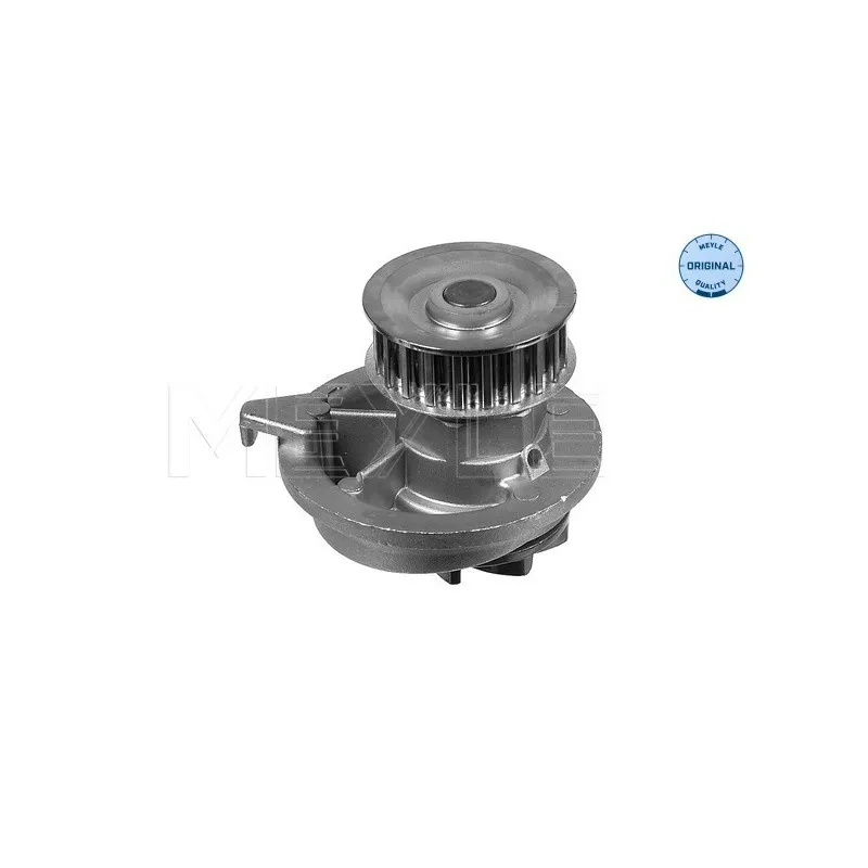 Pompe à eau MEYLE 613 600 4084