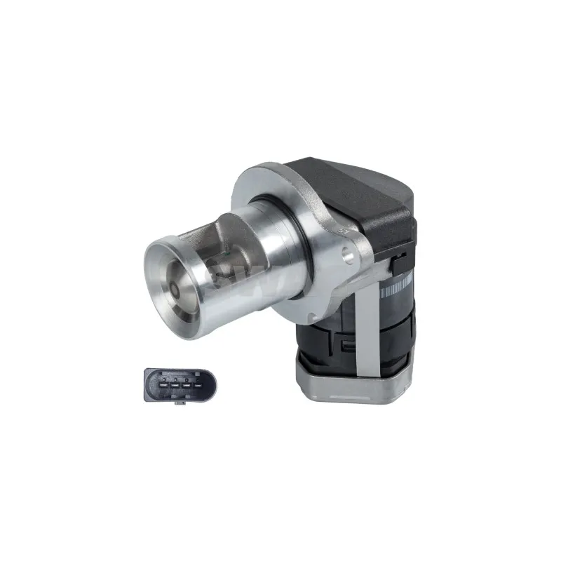 Vanne EGR SWAG 10 10 9631