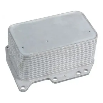 Radiateur d'huile SWAG 60 10 5872