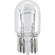 Ampoule, feu clignotant PHILIPS 12066B2 - Visuel 2