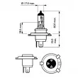 Lot de 2 ampoules, projecteur longue portée PHILIPS 12342ELC2 - Visuel 3
