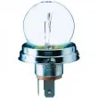 Ampoule, projecteur longue portée PHILIPS 13620C1 - Visuel 2