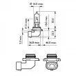 Ampoule, projecteur longue portée PHILIPS 9005PRB1 - Visuel 3