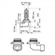 Ampoule, projecteur longue portée PHILIPS 9005WVUB1 - Visuel 3