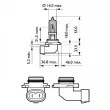 Ampoule, projecteur longue portée PHILIPS 9006WVUB1 - Visuel 3