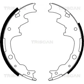 Jeu de mâchoires de frein TRISCAN
