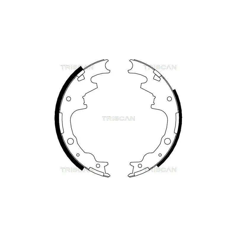 Jeu de mâchoires de frein TRISCAN 8100 10015