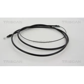 Tirette à câble, frein de stationnement TRISCAN