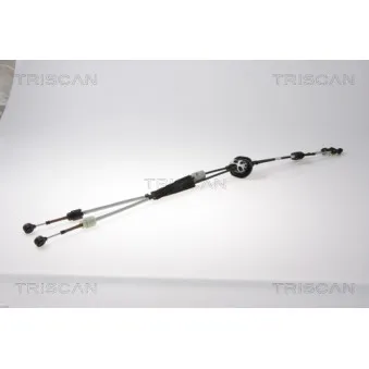 Tirette à câble, boîte de vitesse manuelle TRISCAN