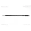 Flexible de frein TRISCAN 8150 10130 - Visuel 1