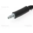 Flexible de frein TRISCAN 8150 10130 - Visuel 2