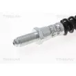 Flexible de frein TRISCAN 8150 10130 - Visuel 3