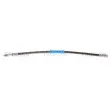 Flexible de frein TRISCAN 8150 23134 - Visuel 1