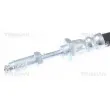 Flexible de frein TRISCAN 8150 27123 - Visuel 2
