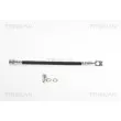 Flexible de frein TRISCAN 8150 292014 - Visuel 1
