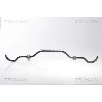 Stabilisateur, chassis TRISCAN 8500 10660
