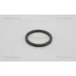 Anneau de palpeur, ABS TRISCAN 8540 29407 - Visuel 1