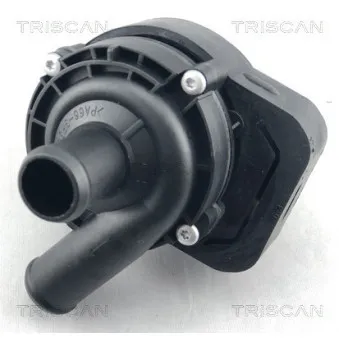 Pompe à eau TRISCAN