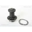 Pompe à eau TRISCAN 8600 23033 - Visuel 1