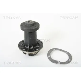 Pompe à eau TRISCAN
