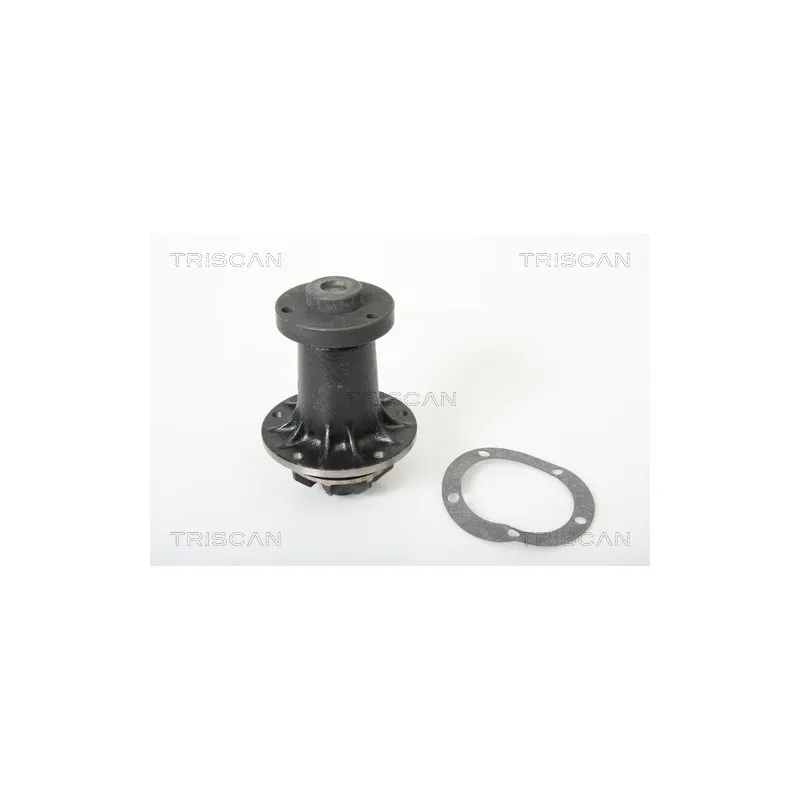 Pompe à eau TRISCAN 8600 23033