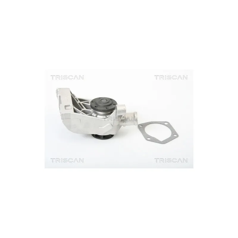 Pompe à eau TRISCAN 8600 29036