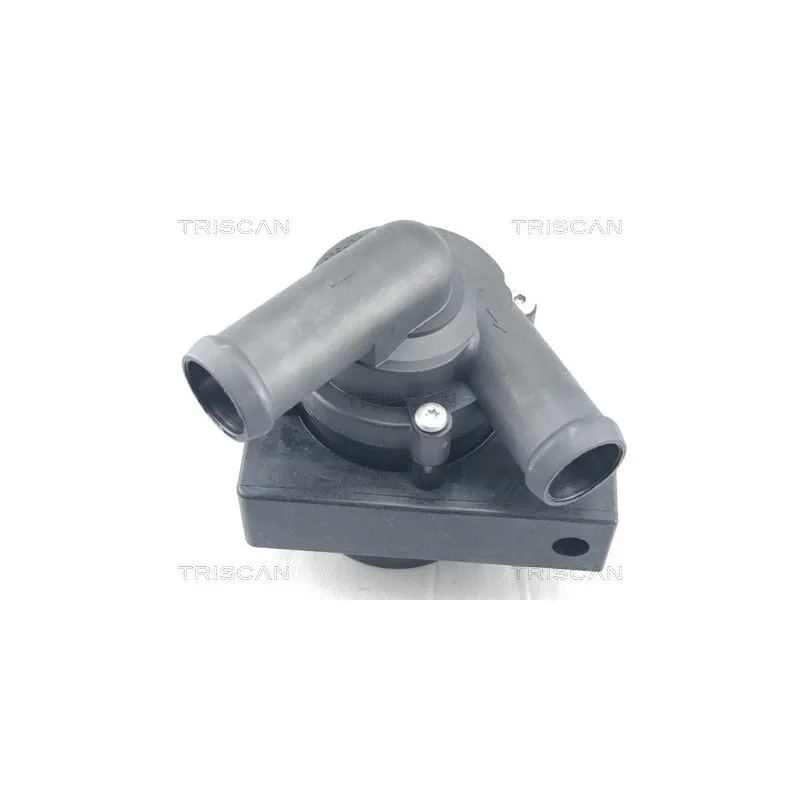 Pompe à eau TRISCAN 8600 29072