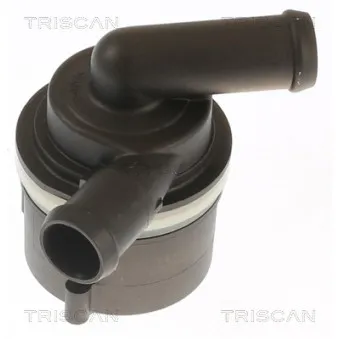 Pompe à eau TRISCAN