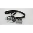 Kit de distribution TRISCAN 8647 29091 - Visuel 1