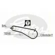 Kit de distribution TRISCAN 8647 42001 - Visuel 2
