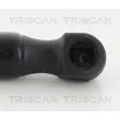 Vérin de hayon, de coffre TRISCAN 8710 27223 - Visuel 3