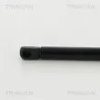 Vérin de hayon, de coffre TRISCAN 8710 29204 - Visuel 2