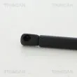 Vérin de hayon, de coffre TRISCAN 8710 292051 - Visuel 2