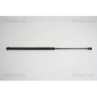 Vérin, vitre arrière TRISCAN