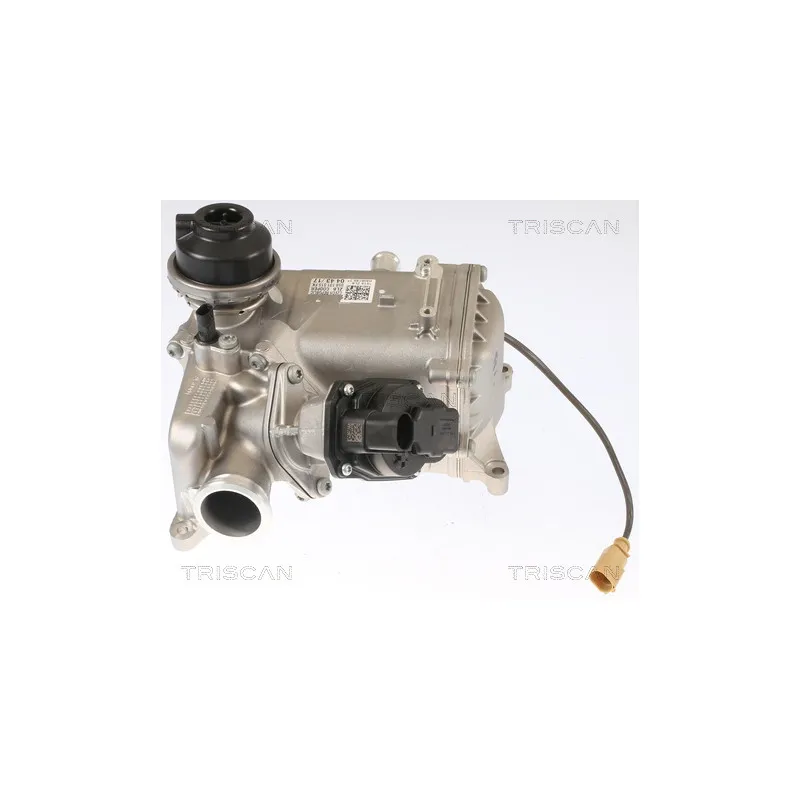 Vanne EGR TRISCAN 8813 29012